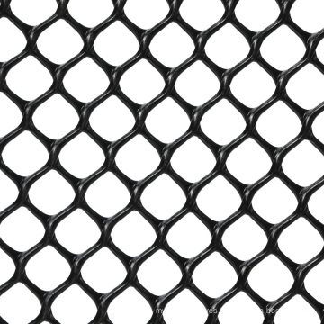 High Quality Top Sale Diamond Plastic Mesh for Agriculture Protection
